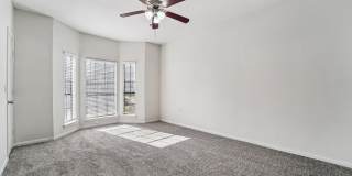 Derby at Steeplechase Gallery 45