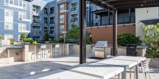 Indigo 19 Gallery 24