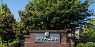 Avalon Falls Church Gallery 45