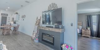 12634 CACAO TREE Trail Gallery 15