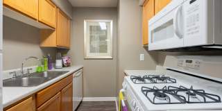 EnVue Apartments Gallery 9