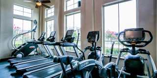 Aliso Briar Forest Gallery 20