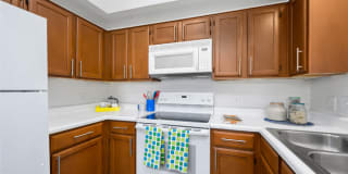 The Lanesborough Apartments Gallery 26