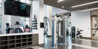 Carillion Gallery 24