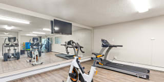 Sterling Heights Gallery 26