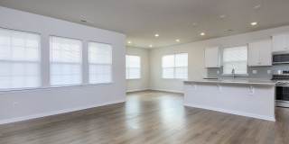 161 White Apple Way Gallery 4