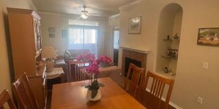 Pinnacle Canyon Gallery 5