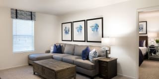 Linea Stillwater Gallery 14