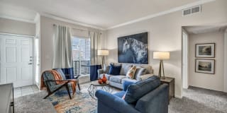 Renaissance Gallery 15