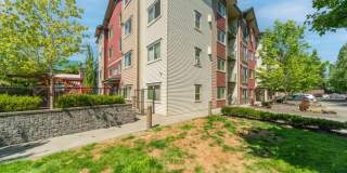 Avion Apartments Gallery 2
