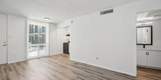 ReNew Biltmore Gallery 20