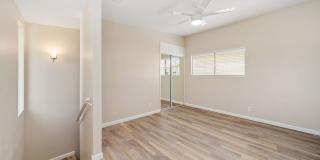 1249 Palm Street Gallery 48