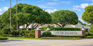 423 Pine Tree Court Gallery 33