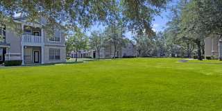 Somerset at Spring Creek Gallery 26