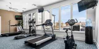 Alexander Park Gallery 22