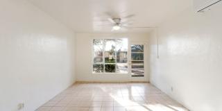 Charming 1-bedroom, 1-bath home in Tucsons most iconic neighborhood! Gallery 3