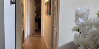 1009 Green Pine Boulevard Gallery 6