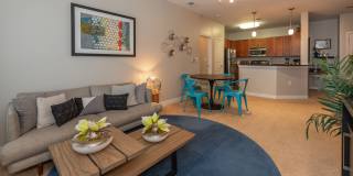 The Cascades Gallery 17