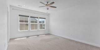43509 APPLE ORCHARD Square Gallery 23