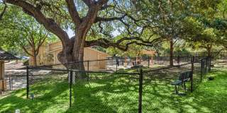 Crosspoint Oaks at Boerne Gallery 34