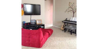 607 Wisteria Lane, Celebration, FL 34747 Gallery 1