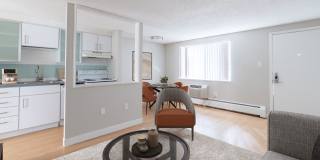805 Dahlia Gallery 2