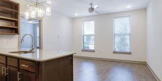 Thrive Argenta Gallery 75