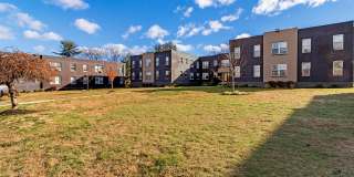 Stenton Gardens Gallery 8