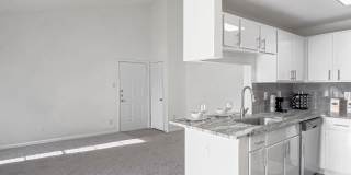 Derby at Steeplechase Gallery 21