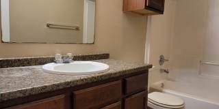 FOR LEASE -GEOURGOUS  3/2/1 WITH LARGE YARD IN SOUTH LUBBOCK Gallery 12