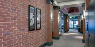 The Shelby Gallery 12