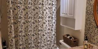 Live the Bayshore Boulevard / Soho Lifestyle, in Style! Gallery 14