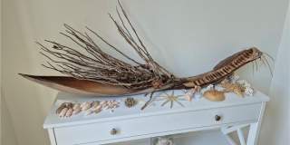 254 Palermo Circle Gallery 17