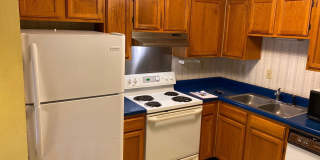 Furnished Two-Bedroom Coastal Condo | North End of Hilton Head Gallery 3