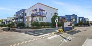 8000 Uptown Gallery 34