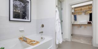 Northshore Gallery 7