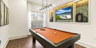 Odyssey Lake Apartments Gallery 47