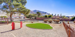 Desert Ridge Gallery 30