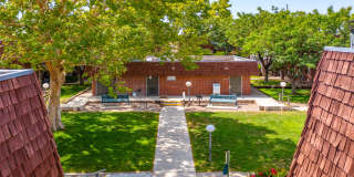Meadowlark Gallery 29