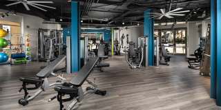 Allure Apartments Gallery 13