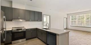 The Belle at the Lamar Gallery 65