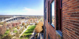 Greenhouse Gallery 51