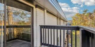 Compass Vista Gallery 21