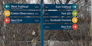 1650 N RICHMOND Street Gallery 19