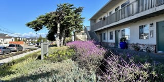 Marina Crescent Gallery 2