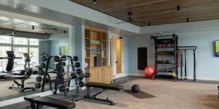 The Filmont Gallery 35