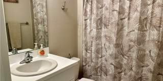 20502 Camino Torcido Loop Gallery 15