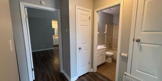 9532 Chi Chi Cv Gallery 20