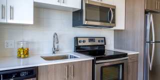 Ocean 650 Gallery 7