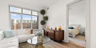 Ashton South End Gallery 17